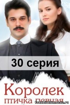 Королек – птичка певчая (2013) 30, 31, 32, 33, 34 серия на русском языке с субтитрами